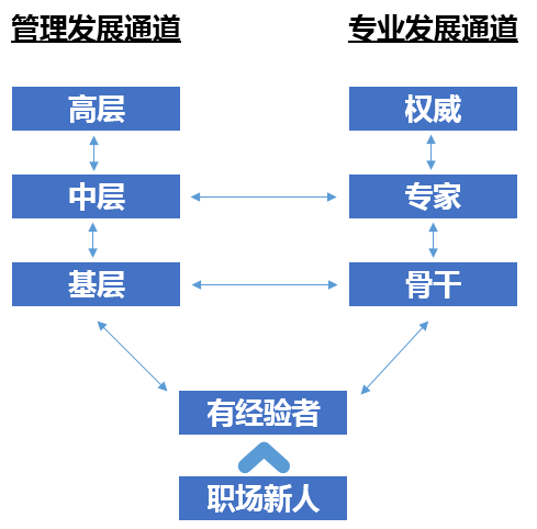 02_人才戰略_07.jpg 02_人才戰略_07.jpg